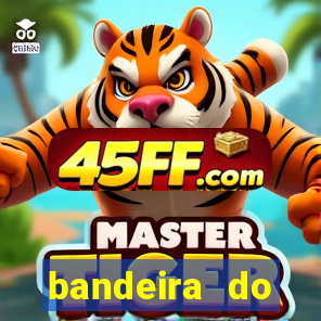 bandeira do flamengo para copiar